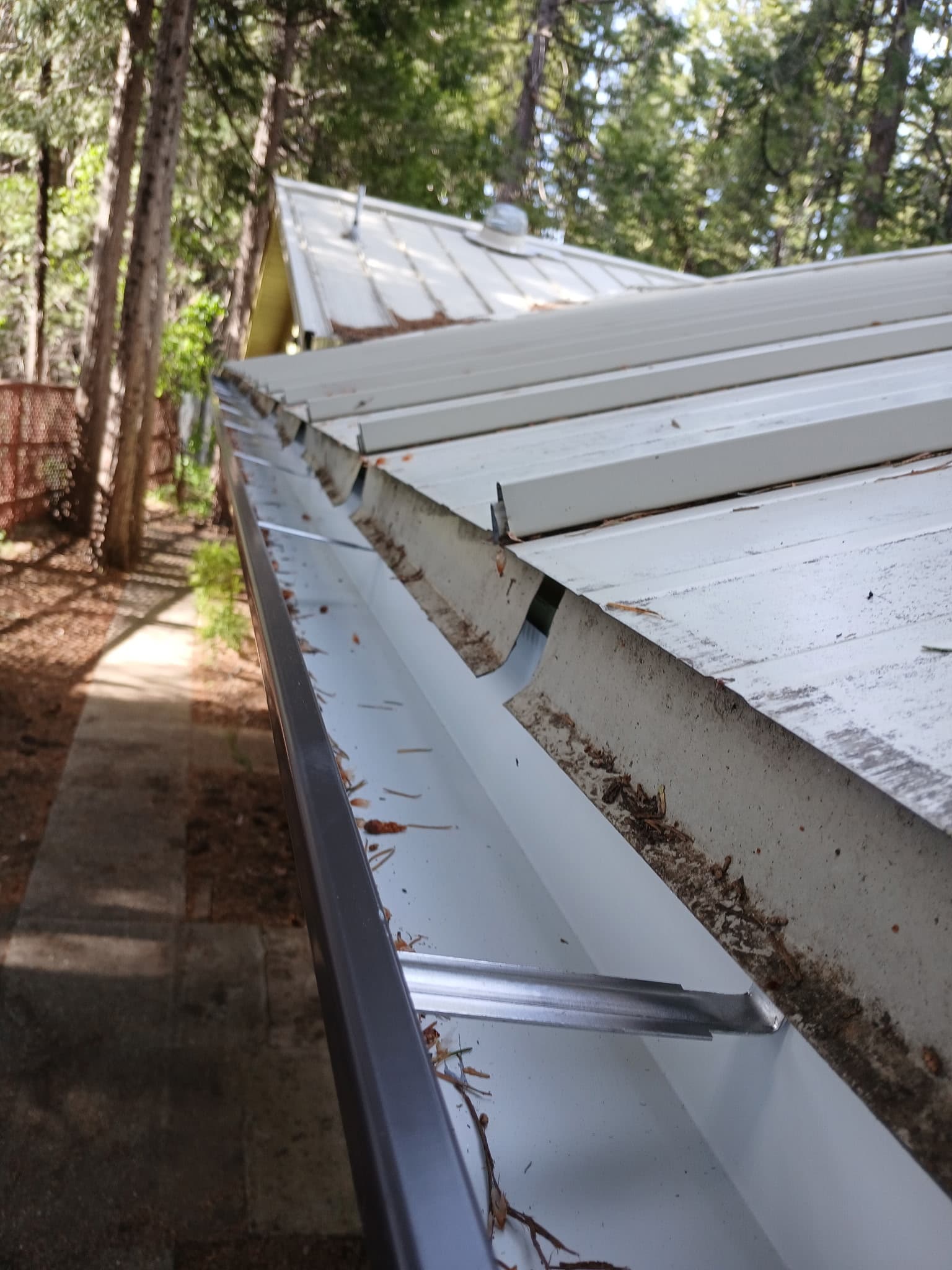 Pine country home — close-up showing why gutter guards matter, with needles in the channel